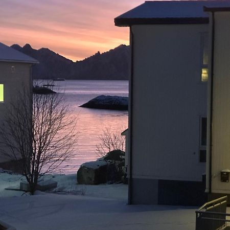 Koselig Hus Naert Havet I Lofoten, Kabelvag Ngoại thất bức ảnh