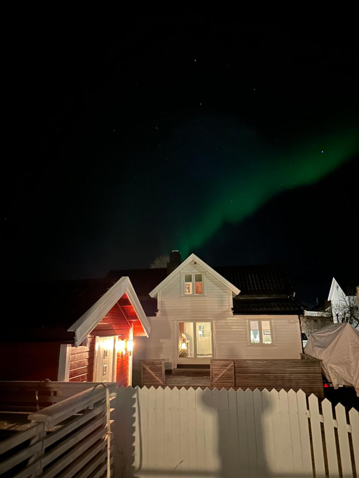 Koselig Hus Naert Havet I Lofoten, Kabelvag Ngoại thất bức ảnh
